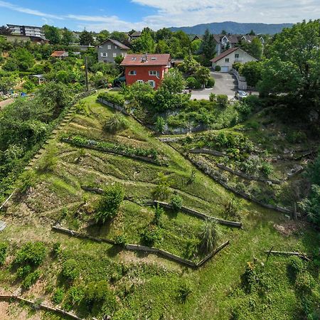 Apartment With Garden & Terrasse Very Quiet Thonon-les-Bains Exteriör bild
